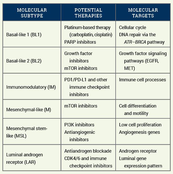 The Case Of The Triple-Negative Breast Cancer Targeted Treatment